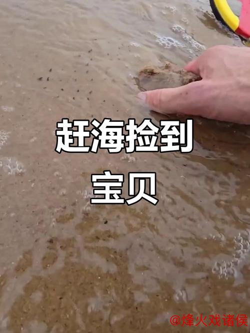 新民体育｜海港捡到宝了？