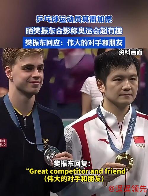 陪樊振东耍帅，莫雷加德“背后贴身”，弗朗西斯卡这位队友真是忙翻了