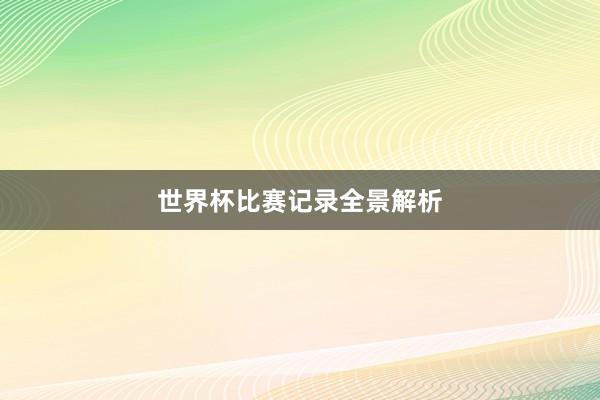 世界杯比赛记录全景解析