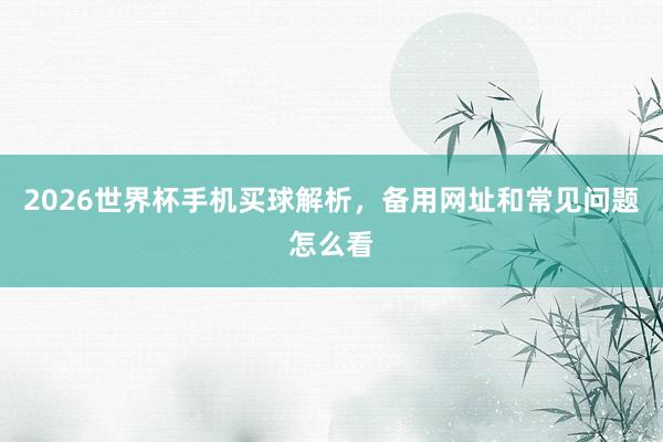 2026世界杯手机买球解析，备用网址和常见问题怎么看