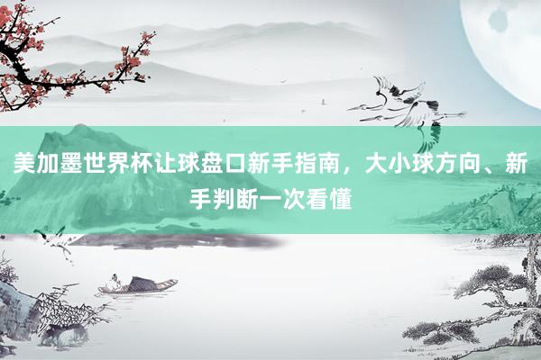 美加墨世界杯让球盘口新手指南，大小球方向、新手判断一次看懂
